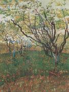 Vincent Van Gogh Orchard in Blosson (nn04) oil